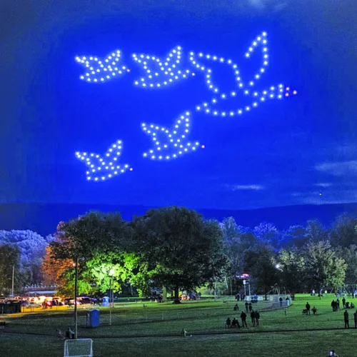 Things to do: Goose Day activities display weekend flavor